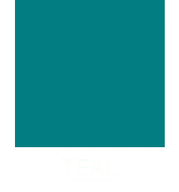 Men&rsquo;s Teal Blue Color Scrubs