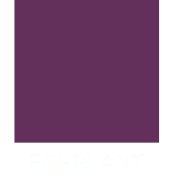 Men&rsquo;s Eggplant Color Scrubs