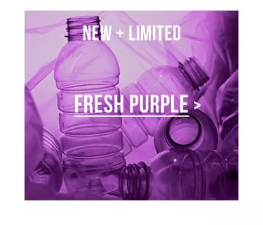 Fresh Purple