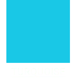 Men&rsquo;s Turquoise Blue Color Scrubs