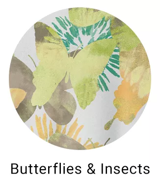 Butterflies and Insexts