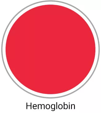 Hemoglobin Scrubs
