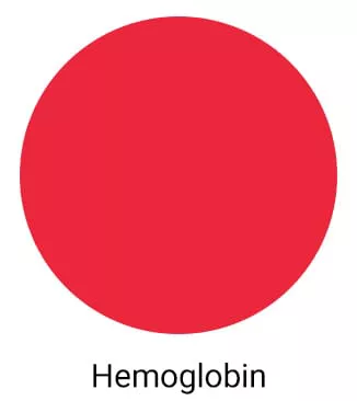 Hemoglobin Scrubs