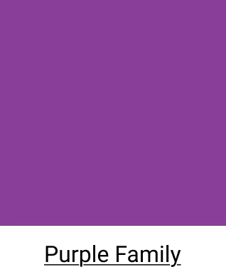 Purple Scrubs