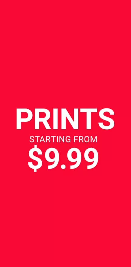 Clearance Prints
