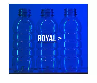 ReSurge Royal