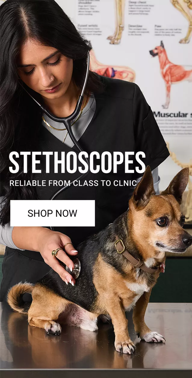 Stethoscopes on Sale
