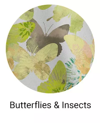 Butterflies & Insects Prints 