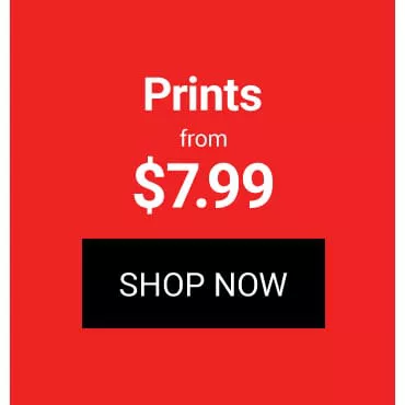 Prints from $7.99