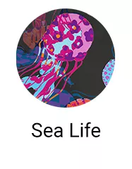 Sea Life Scrubs