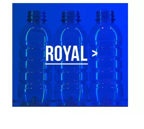 ReSurge Royal