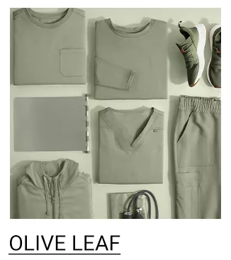Olive Leaf Scrubs