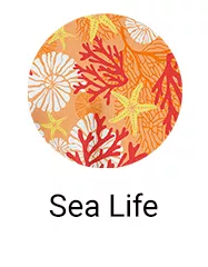 Sea Life