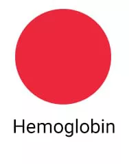 Hemoglobin Scrubs