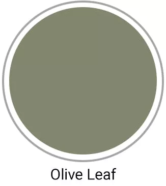 Olive Leaf Scrubs