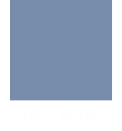 Men&rsquo;s Ceil Blue Color Scrubs