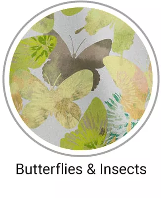 Butterflies & Insects Prints 