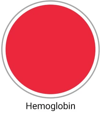 Hemoglobin Scrubs