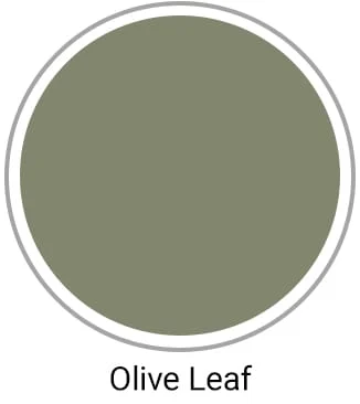 Olive Leaf Scrubs