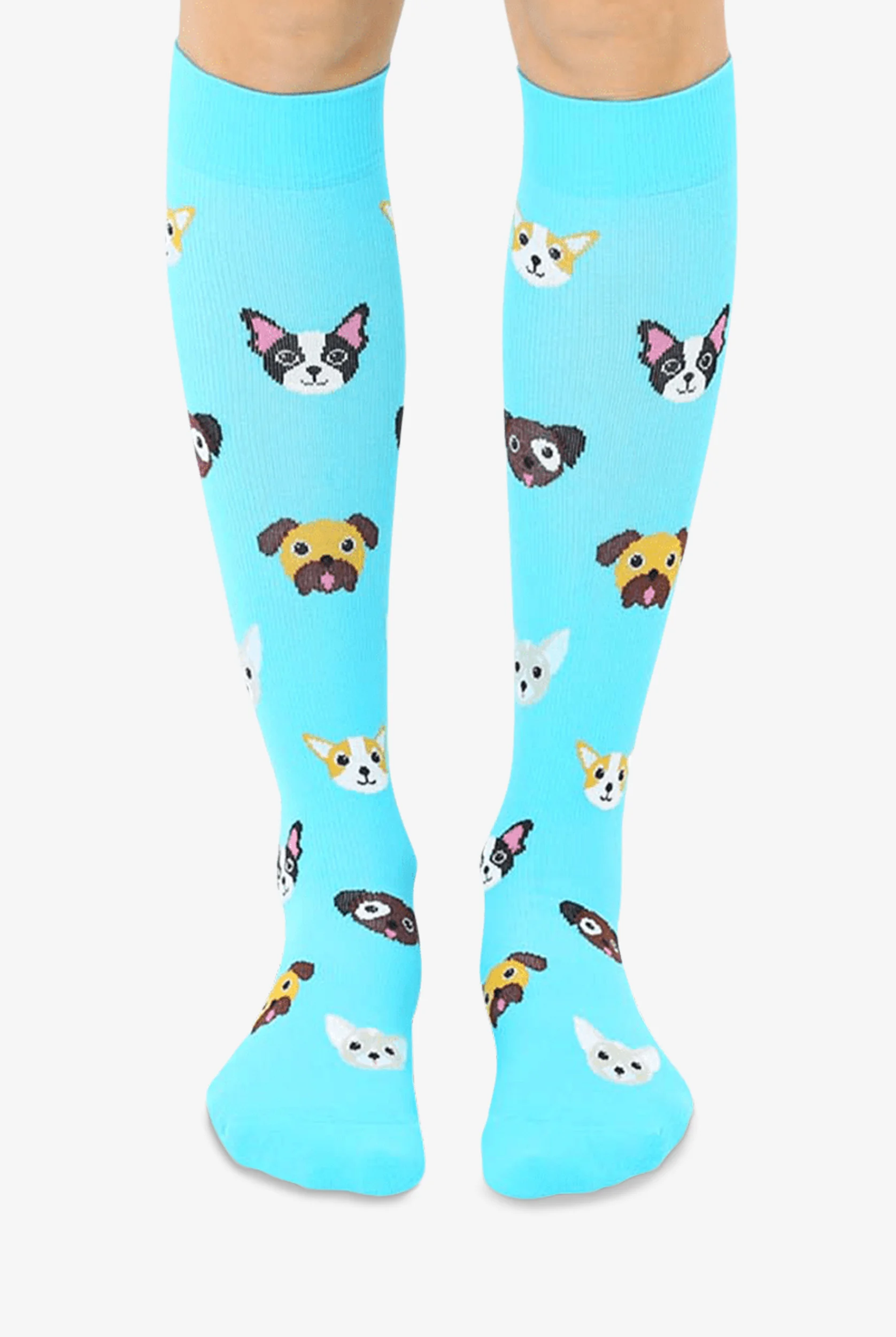 Living Royal Dog Women's 15-20-mmHg Moderate Compression Socks