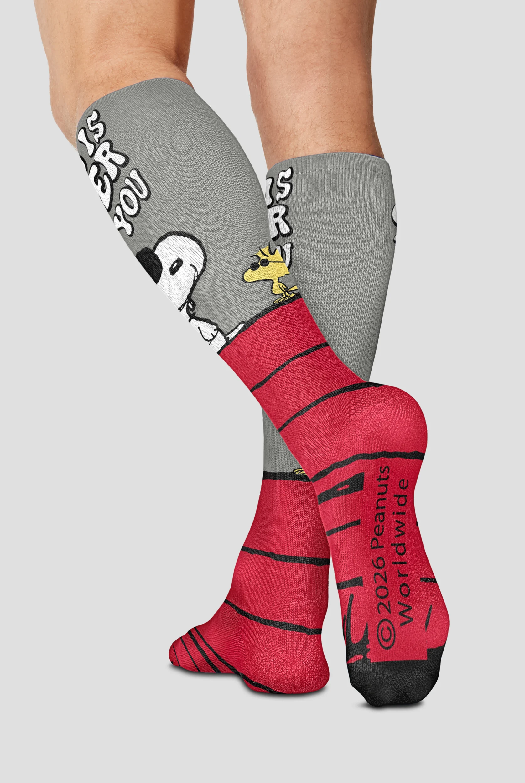 Tooniforms Mens My Cool Dog 10-15 mmHG Light Compression Socks